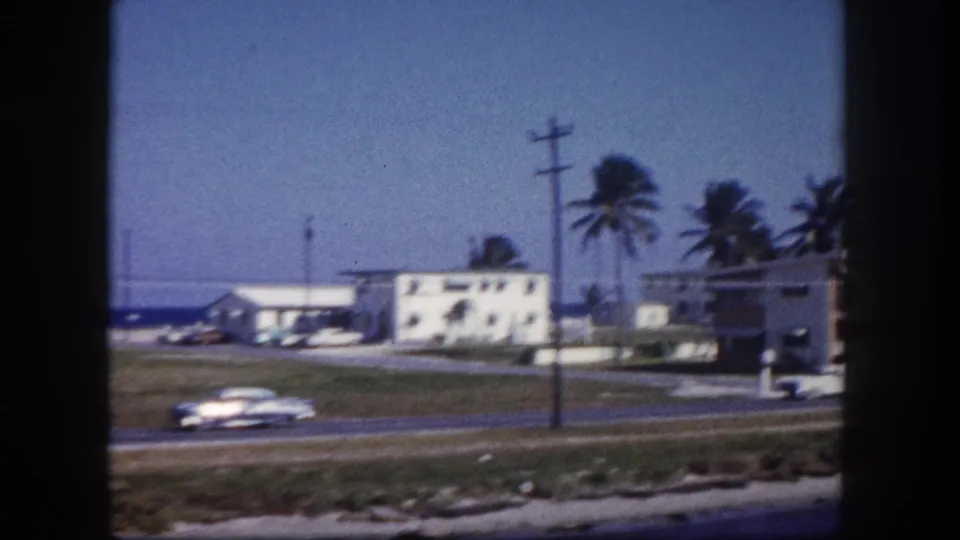 A light-colored older car moves along a Tampa roadside near palms, utility poles, low buildings, sandy ground, and distant water.