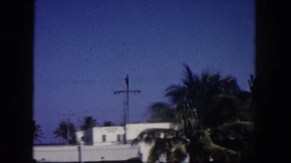 1960 Tampa street view with a white low-rise building, palm trees, utility pole, blue sky, and roadside foreground.