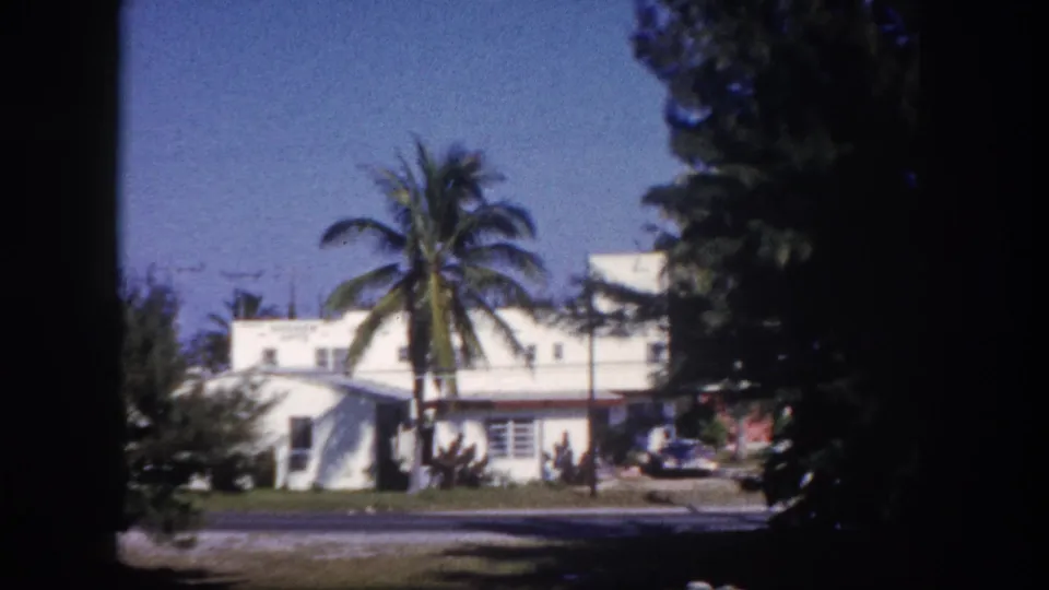 1960 Tampa roadside view of a white low-rise building, tall palm, shrubs, and parked cars partly in shade.