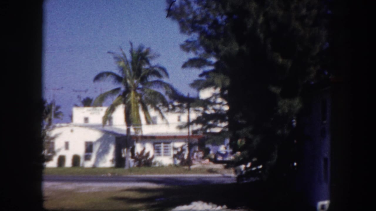 White single-story house with palm tree, lawn, and street in bright sun.