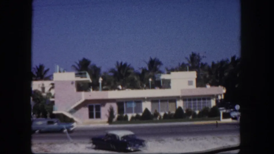 1960 Tampa roadside waterfront view with a low modernist building, palm trees, parked or passing cars, and blue sky.