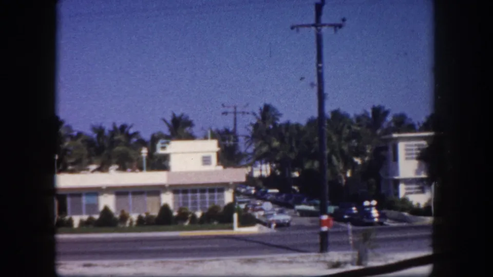 Tampa roadside scene with low pale buildings, palm trees, parked cars, a utility pole, and visible 8mm frame borders.