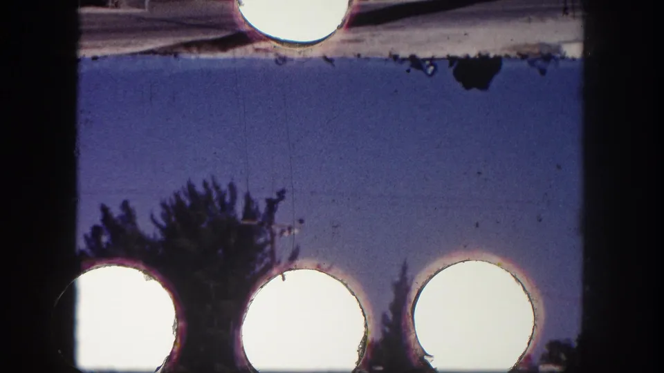 Final 8mm contact-sheet frame showing roadside trees and building edges with prominent sprocket-area and circular exposure artifacts.