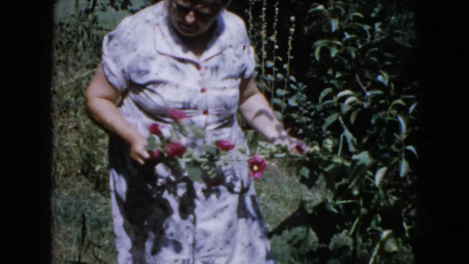 In 1960 Wauconda home-movie footage, a woman in a light floral dress stands in a garden holding red hollyhock blooms.