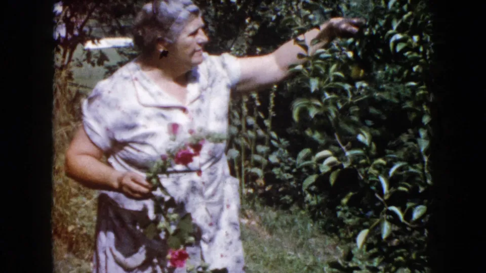 In the final frame, the woman reaches toward garden foliage while keeping red flowers gathered in her other hand.