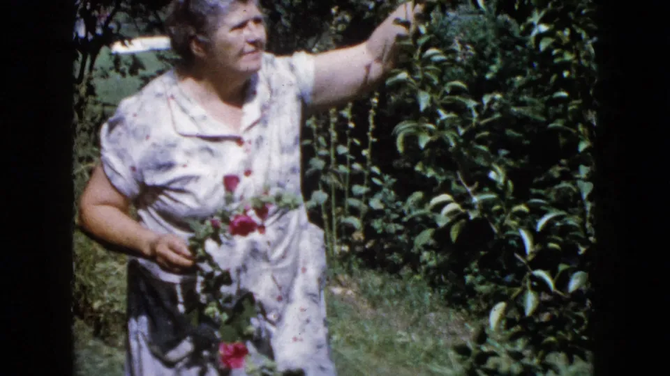 In Wauconda, Illinois around 1960, an older woman in a floral dress holds roses while standing beside dense garden foliage.