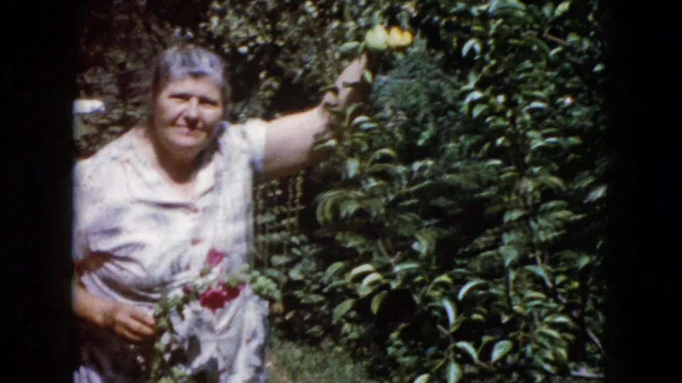 The woman smiles toward the camera while holding roses and reaching for yellow fruit in the garden foliage.