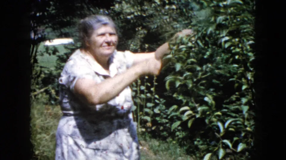 The woman stands close to the leafy tree, reaching into the branches as sunlight falls across the garden.