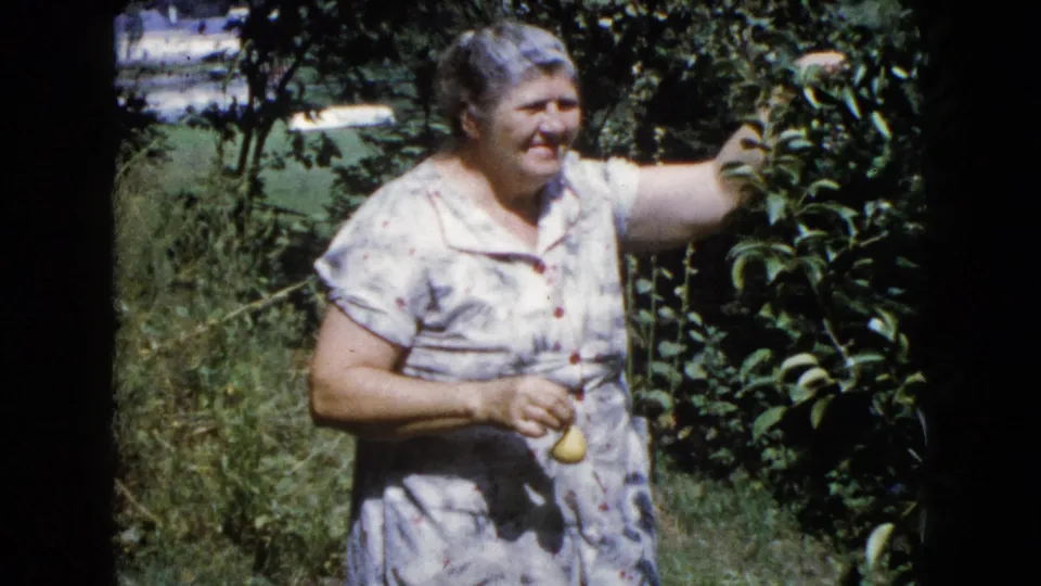 The woman stands in the Wauconda garden holding picked fruit, with leafy branches and soft 8mm color around her.