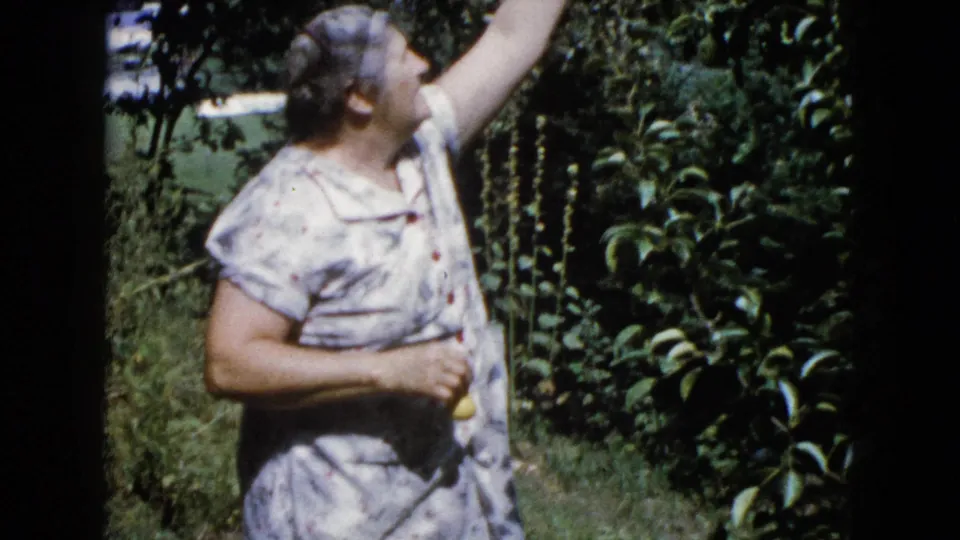 The 1960 home-movie frame shows the woman reaching into a garden tree while holding a yellow fruit in her other hand.