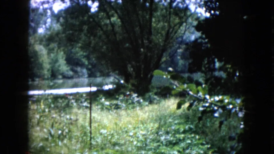 1960 Wauconda home-movie view across tall greenery toward a white boat and tree-lined waterway.