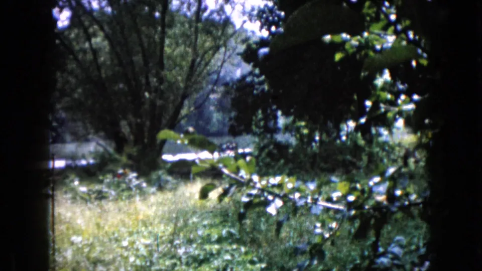1960 Wauconda frame showing a white boat near the shore, partly hidden by leaves, trees, and bright garden growth.