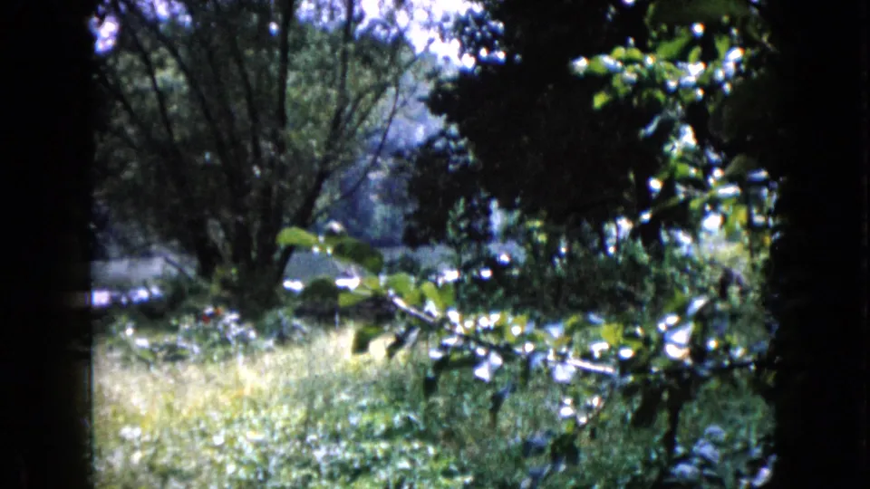 1960 8mm home-movie frame from Wauconda, Illinois showing trees, grass, and a water-side yard through dark film borders.