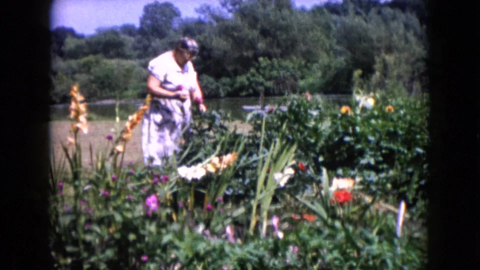 Older woman in a light dress tends a colorful garden in Wauconda, Illinois, with tall flowers, shrubs, trees, and water behind her.