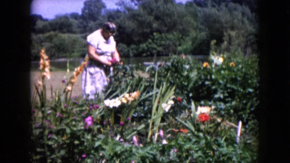 1960 home-movie frame of an older woman in a light dress plucking or tending flowers in a Wauconda garden with trees and water behind.