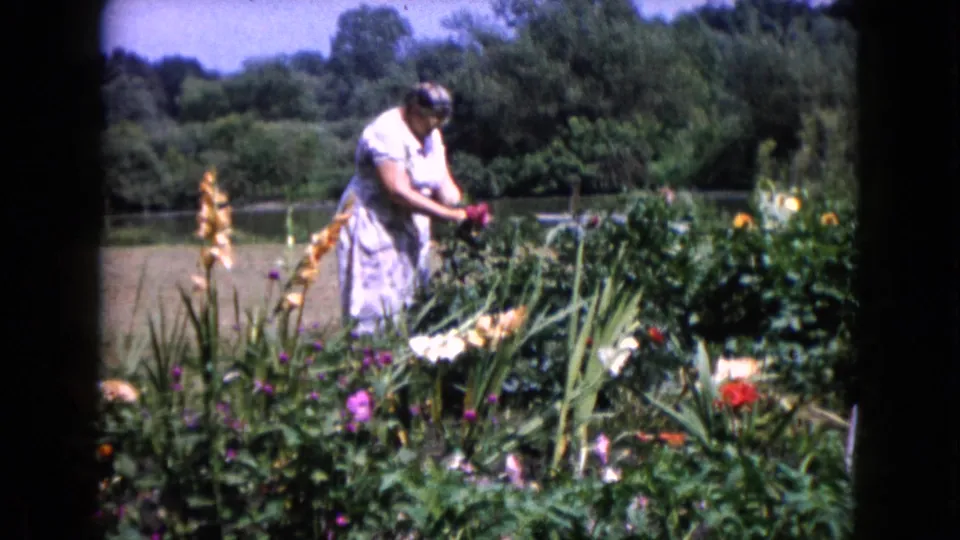 Adult woman in a light dress bends toward a dense flower bed in Wauconda, Illinois, with water and trees beyond.