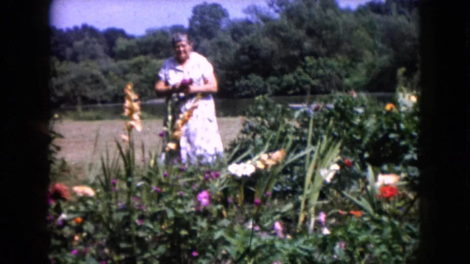 Adult woman stands among garden blooms in 1960 Wauconda, Illinois, appearing to hold cut flowers or stems.