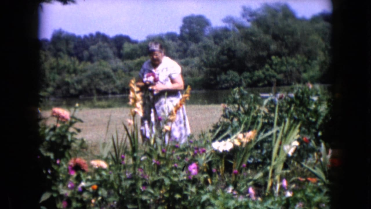 Older woman in a light dress stands among garden flowers in Wauconda, Illinois, 1960 home-movie footage.