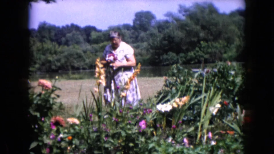 Older woman in a light dress stands among garden flowers in Wauconda, Illinois, 1960 home-movie footage.