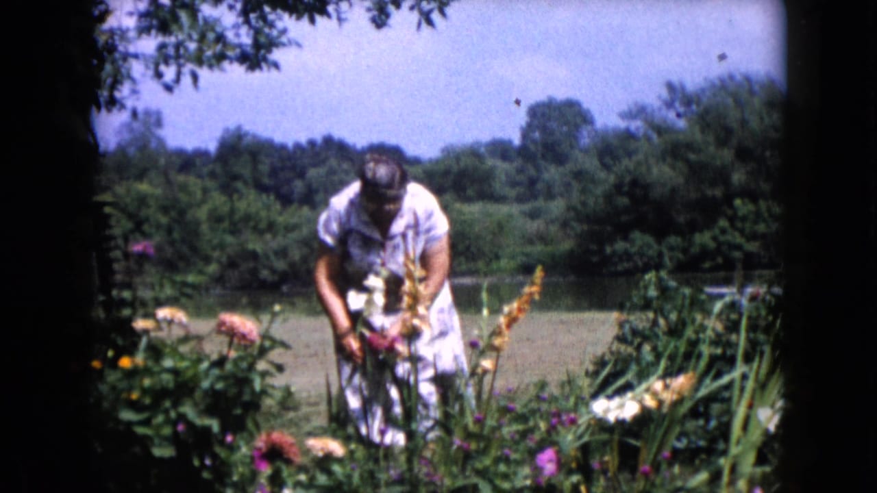 Woman bends over flowers in a garden with lawn, shrubs, trees, and blue sky behind her.