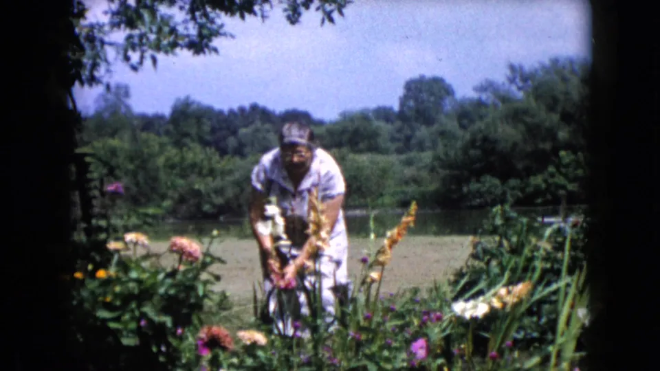 A 1960 Wauconda home-movie frame shows the woman leaning into the flower bed, partly shaded by trees above.