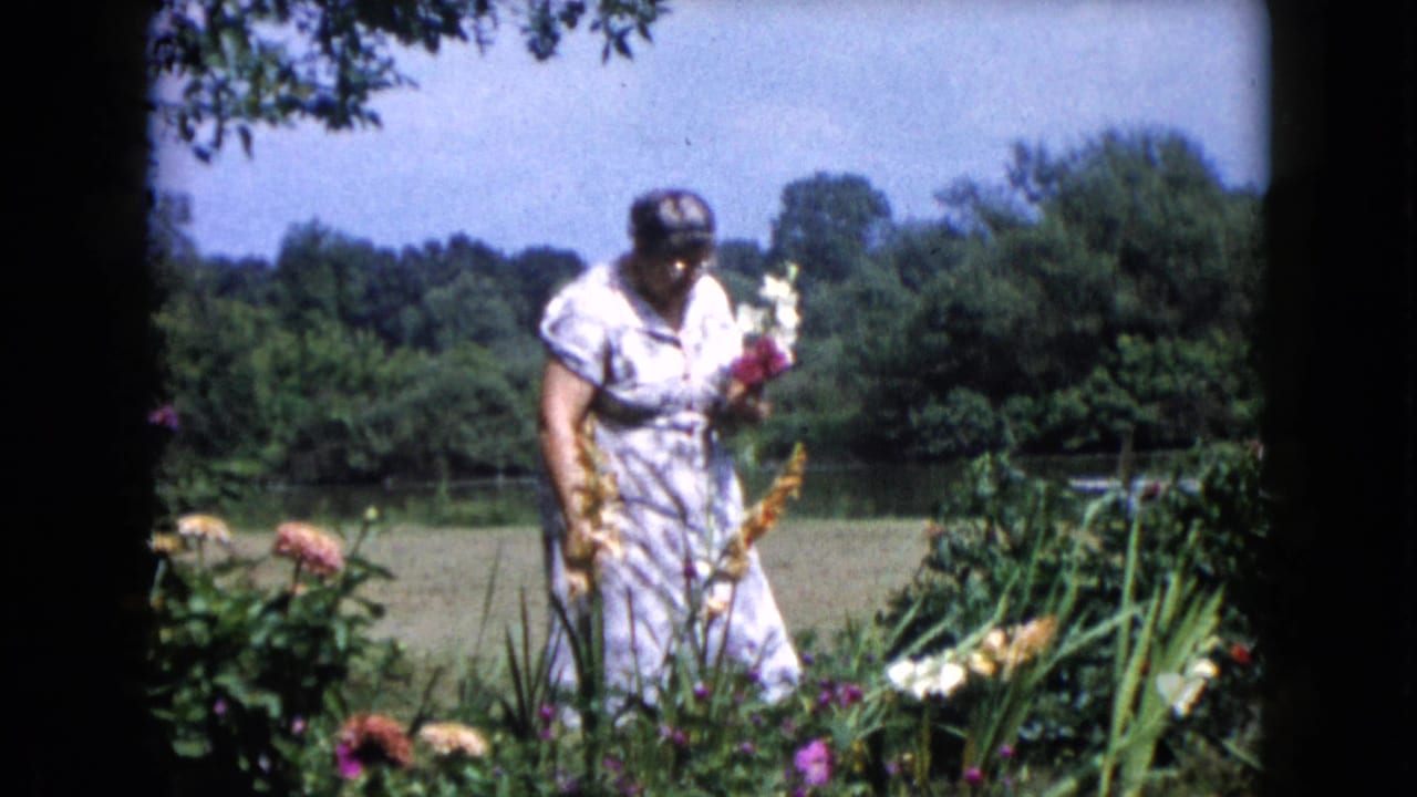 In Wauconda, Illinois, 1960, a woman in a light dress and headscarf stands near tall garden flowers under a blue sky.