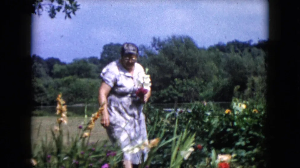 In the 1960 Wauconda garden scene, the woman moves between flower beds while holding blooms against a green lawn and treeline.