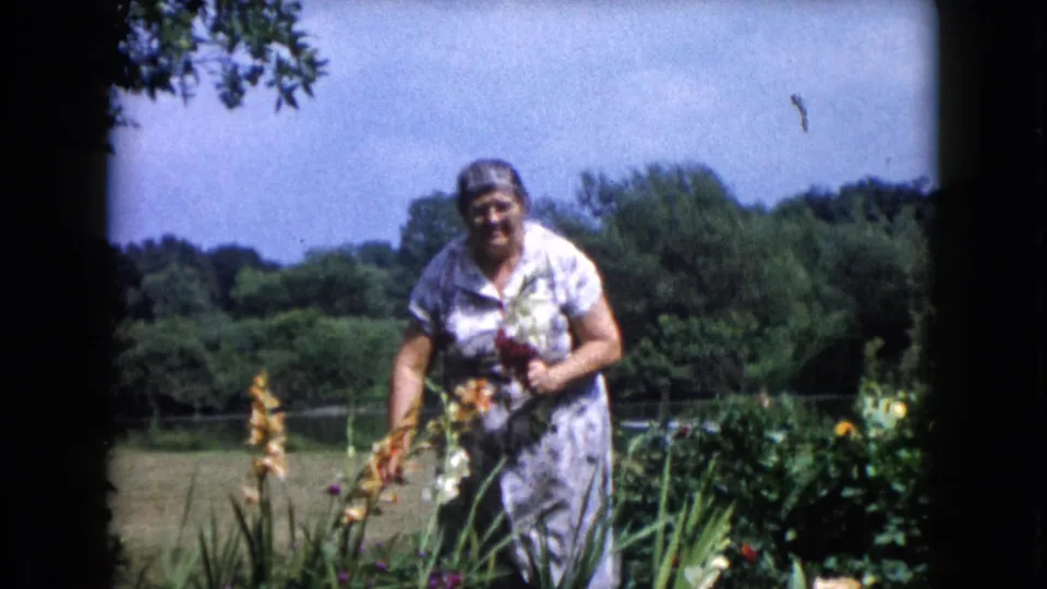 A woman in Wauconda, Illinois, 1960 bends among tall flowers, with home-movie grain and a sunny garden landscape behind her.