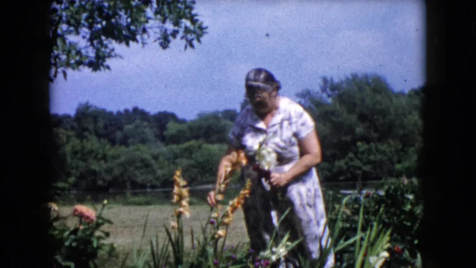 In the 1960 Wauconda garden footage, the woman looks down while holding pale flowers beside tall stalks and a green treeline.