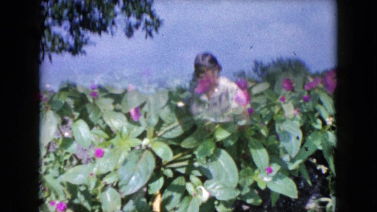 Woman partly hidden behind a flower bed with green leaves and purple blooms.