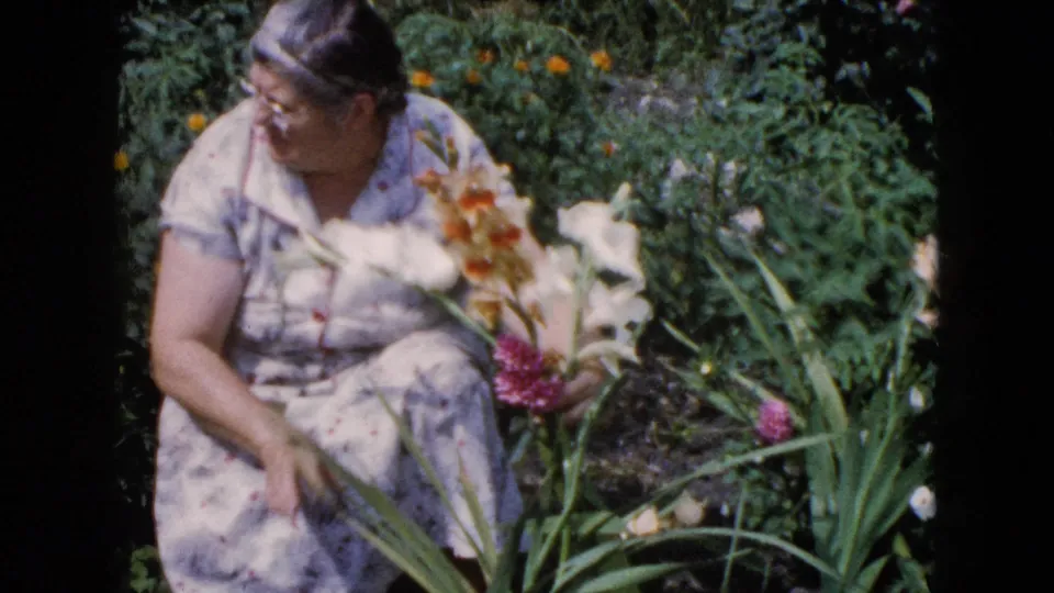 The woman turns toward tall gladiolus blooms in a lush Wauconda garden, with 1960 home-movie color and soft focus.