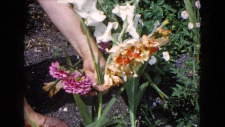 A close 8mm frame shows a hand holding stems in a Wauconda garden, with pale gladiolus flowers and dense greenery around it.