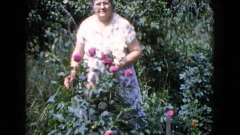 Older woman faces the camera while standing beside pink blooms and leafy plants in the Wauconda garden footage.