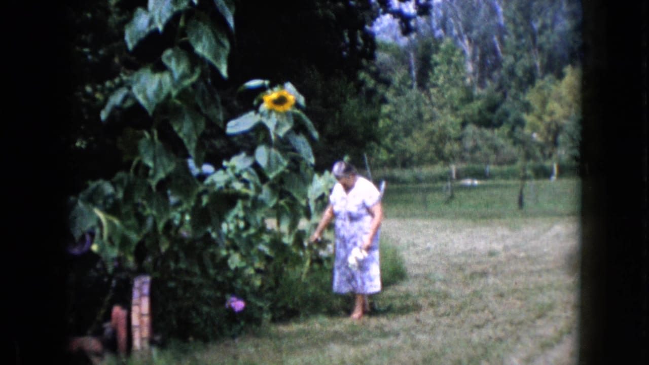Woman in a light dress tending plants beside a tall sunflower in a backyard garden.