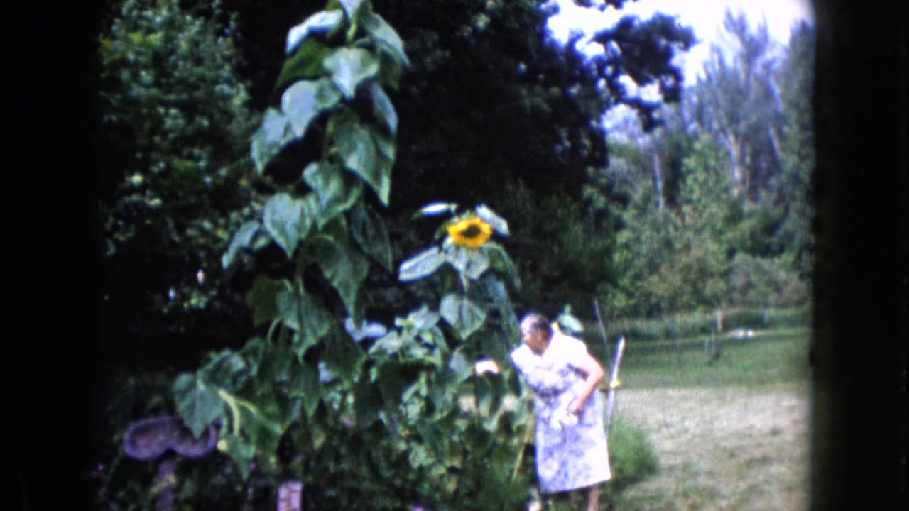 Woman standing near large garden leaves and a sunflower with trees and lawn behind her.
