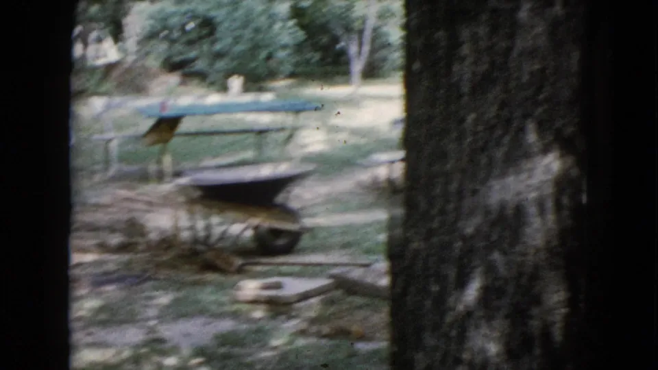 A handheld frame shows the wheelbarrow and green picnic table in the Wauconda yard, partly blocked by a large tree trunk in the foreground.