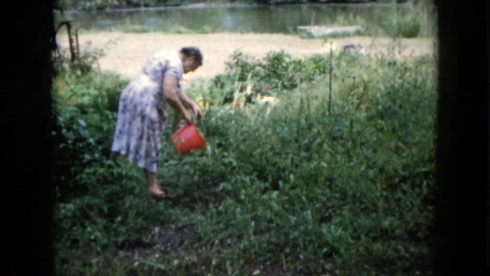 1960 Wauconda garden frame showing a woman in a patterned dress bending to water plants with a red bucket amid dense greenery.