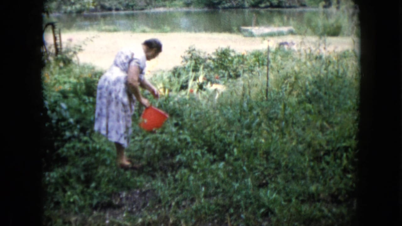 In Wauconda, Illinois home-movie footage from 1960, a woman tends dense garden plants with a red bucket beside a pond.