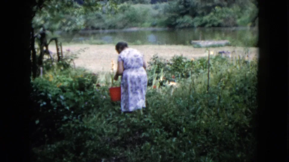 A 1960 Wauconda home-movie frame shows the woman bending over lush garden growth, red bucket visible, with a calm pond beyond.