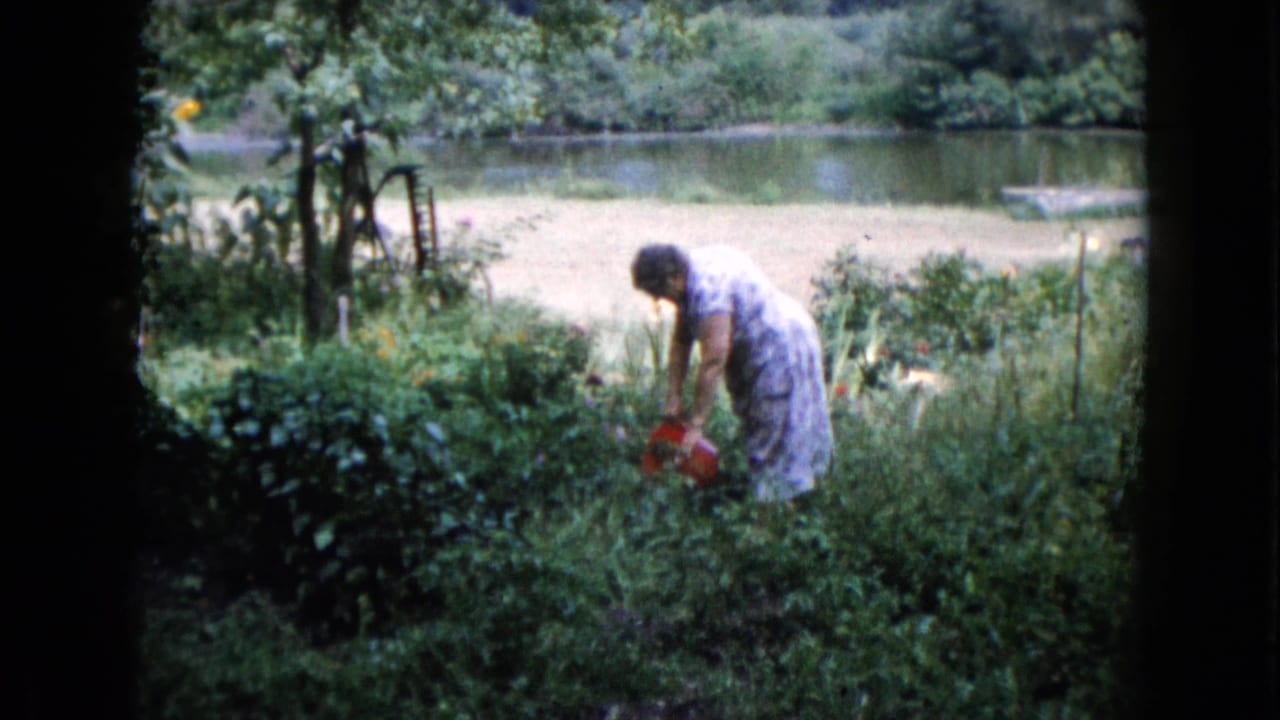 Woman in a floral dress bends over garden plants while holding a red bucket near a river.