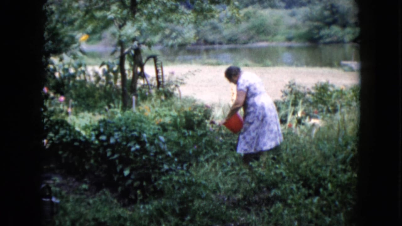 The woman tends a lush garden with a red bucket, with trees and calm water visible in the Wauconda, Illinois background.