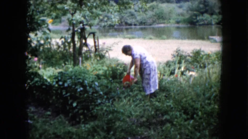 A 1960 home-movie frame shows the woman bending low among thick garden plants, with water and trees behind her.