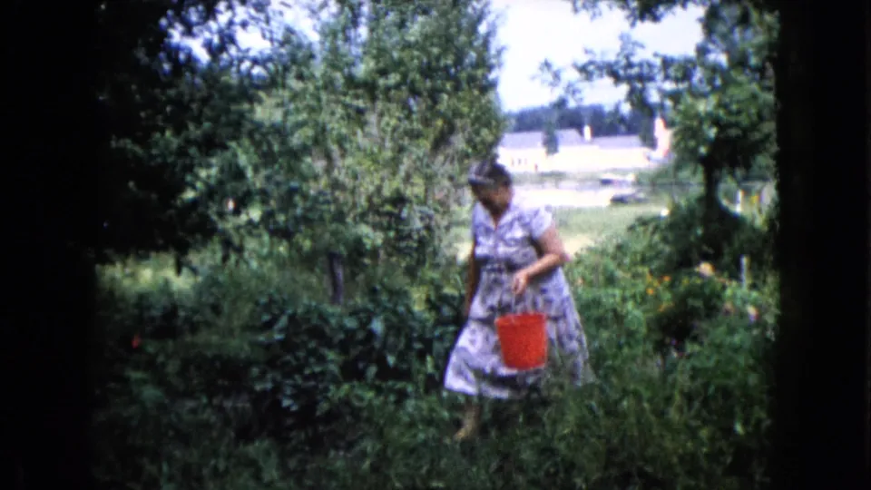 A woman in a headscarf moves through dense Wauconda garden growth, carrying a red bucket in soft 8mm color.
