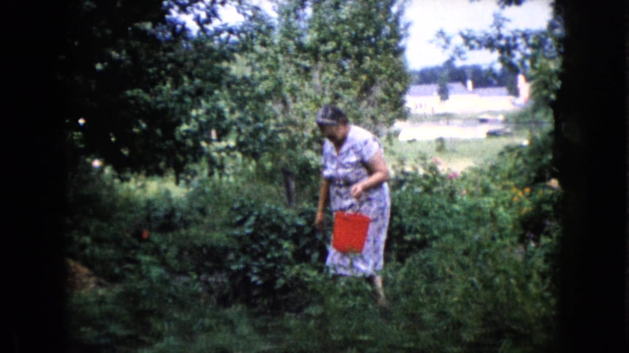 Elderly woman in a patterned dress stands in a green garden holding a red bucket.