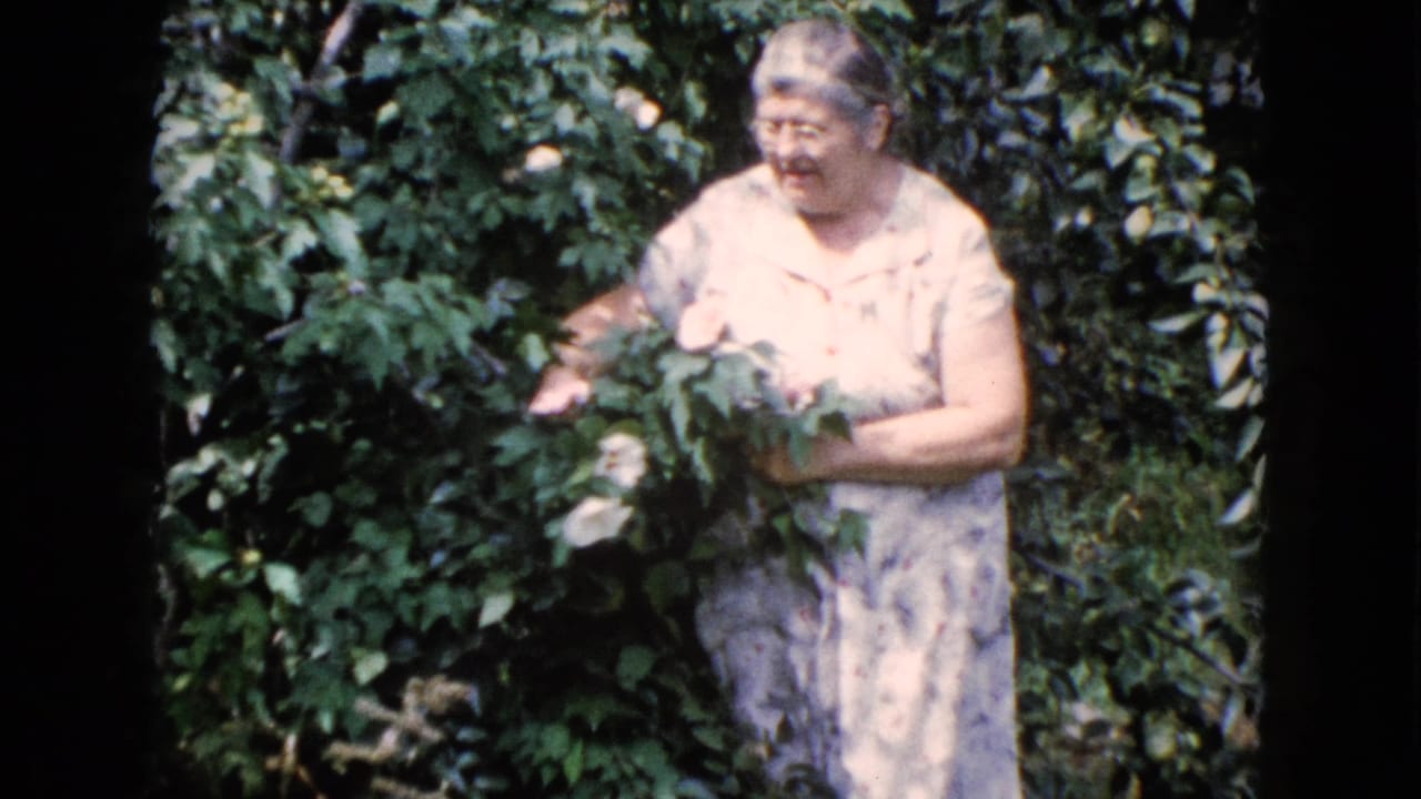 In 1960 Wauconda, Illinois home-movie footage, an adult woman in a light floral dress holds white roses among dense foliage.