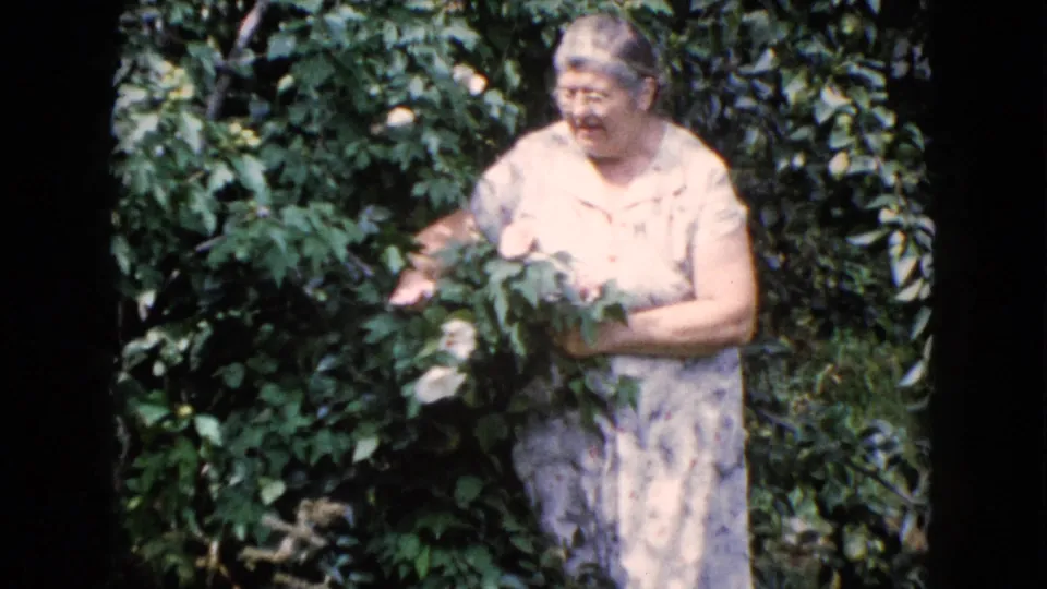 In 1960 Wauconda, Illinois home-movie footage, an adult woman in a light floral dress holds white roses among dense foliage.