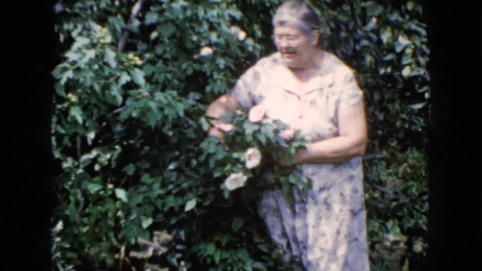 The woman stands partly turned in a Wauconda garden, holding pale roses against a backdrop of thick green leaves.