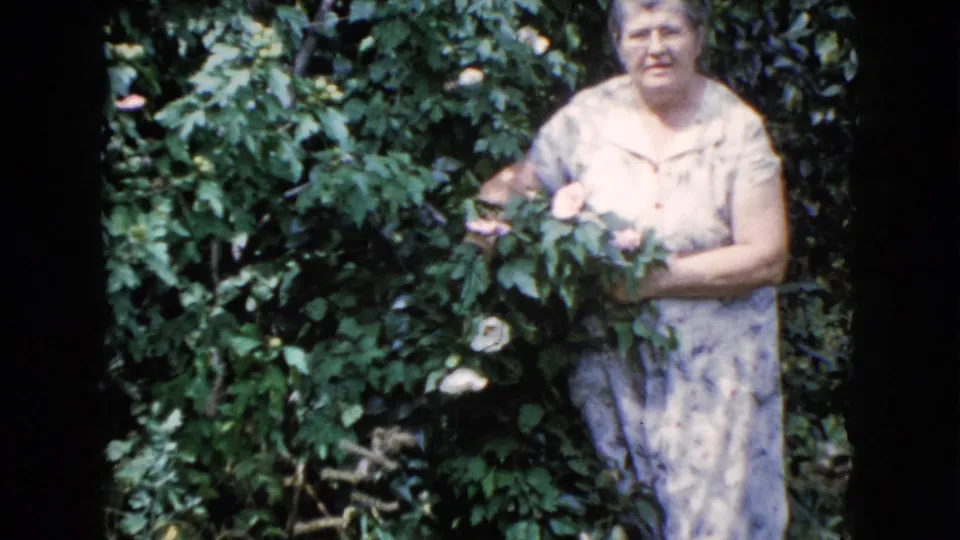 An adult woman in a pale patterned dress faces the camera while holding white roses in the 1960 Wauconda garden scene.
