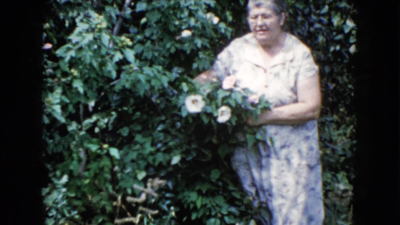 1960 Wauconda garden frame with a woman standing among rose blooms and leafy shrubs, facing toward the camera.
