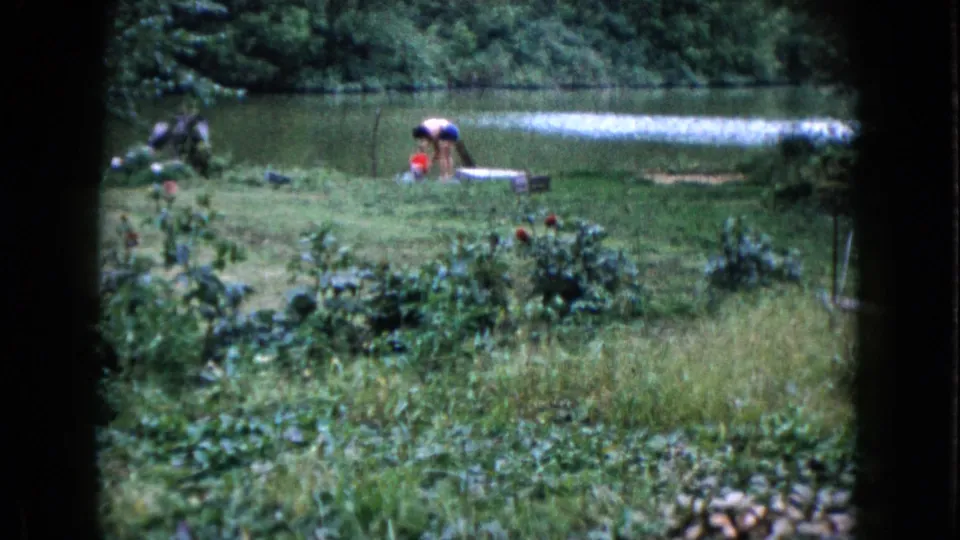 The woman bends at the Wauconda pond edge with a red bucket nearby, framed by grass, trees, and garden plants.